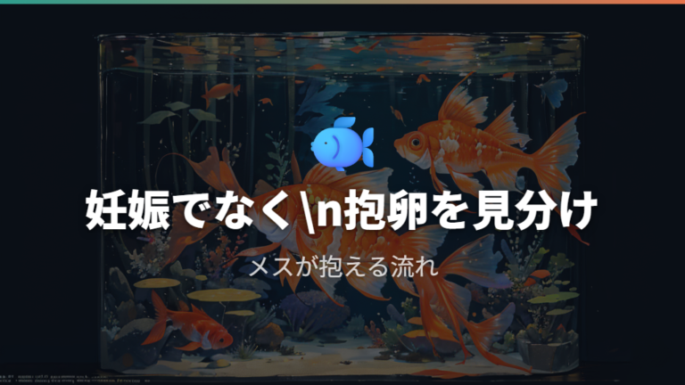 金魚は妊娠ではなく産卵と抱卵で考える