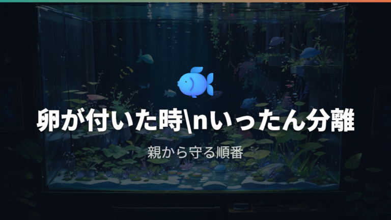 卵が付いた水草の扱い方をまず整理する