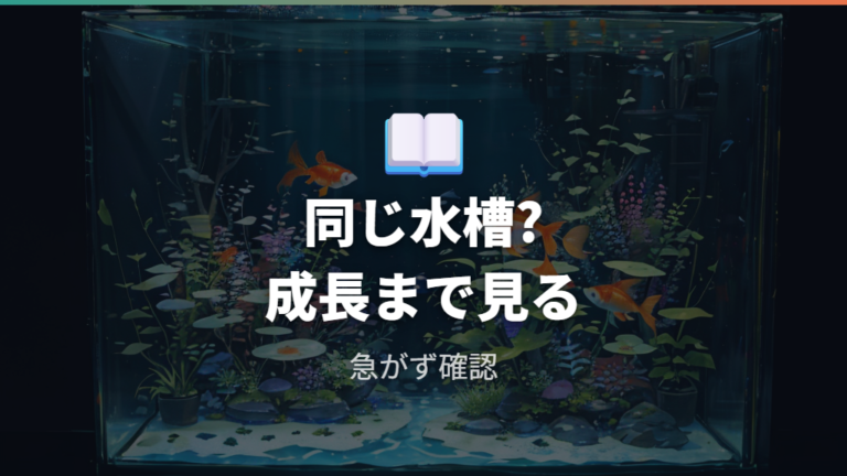 メダカと金魚は混泳できるのかを最初に整理する
