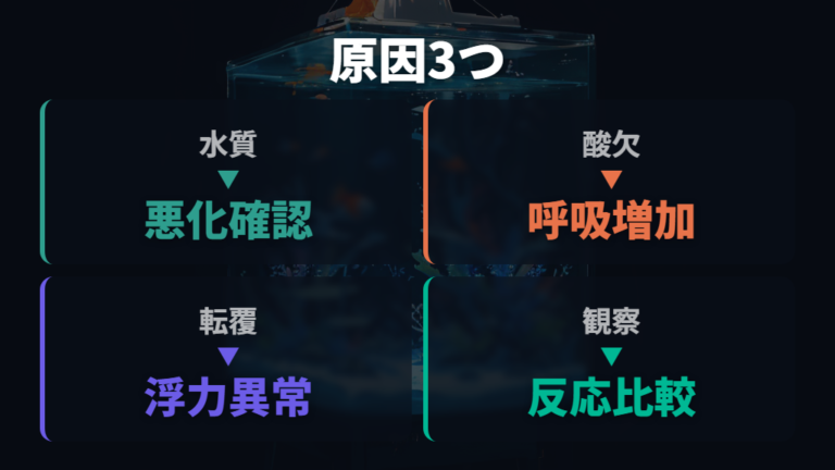 横向きになる主な原因は水質・酸欠・転覆病に分けて考える