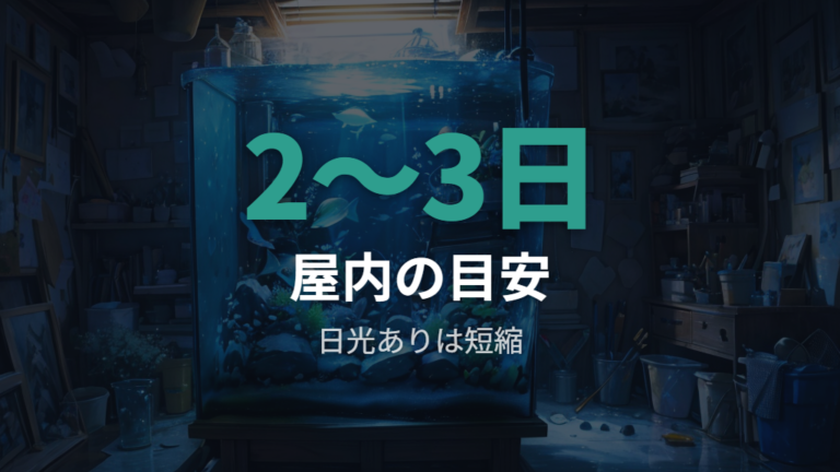 水道水は何時間置けば使えるかをまず押さえる
