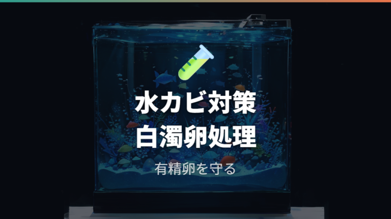卵に使う目的とカビ防止効果を整理する