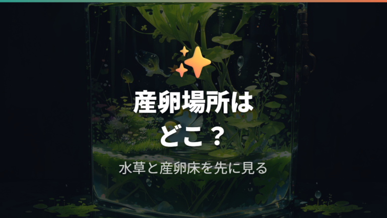 卵を産みつけやすい場所は水草や産卵床まわり