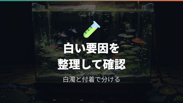 白いモヤモヤの主な原因を整理する