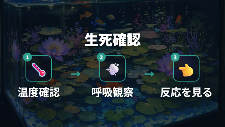 本当に死んでいるか確認する方法を落ち着いて見る