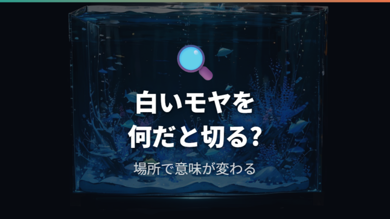白いカビ状の正体と原因を見分ける