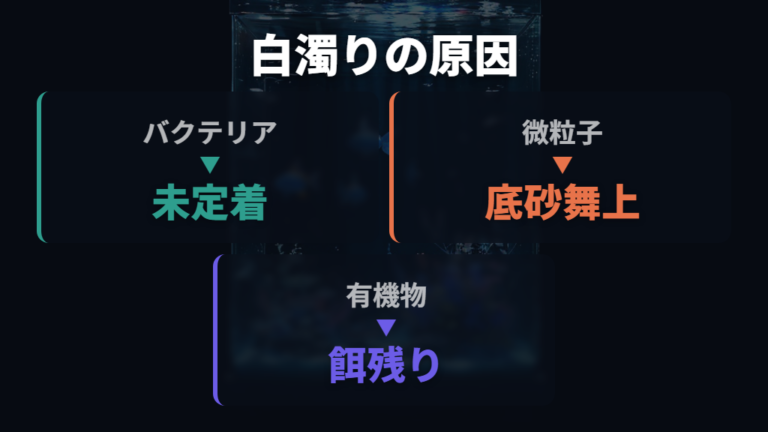 立ち上げ直後に白く濁る原因はバクテリアと微粒子