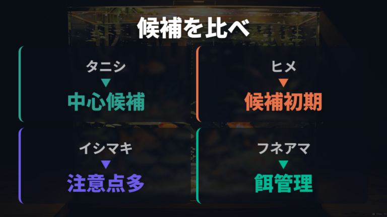 候補にするなら、まず飲み込まれにくい貝類から慎重に考える