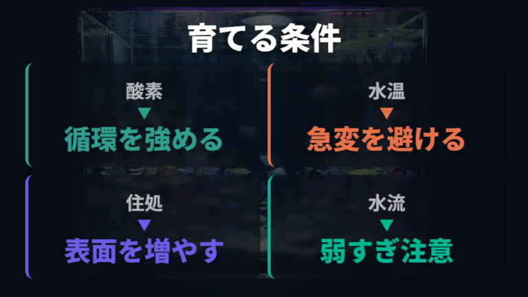 定着に必要な環境条件は酸素・水温・住処をそろえること