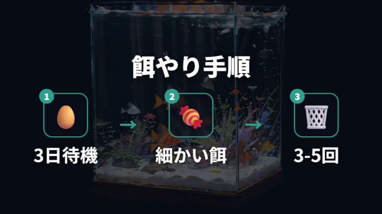 稚魚の餌はいつから何回あげるかを決める
