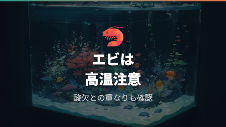 エビが弱る原因になるケースは高水温と酸欠を重ねて見る