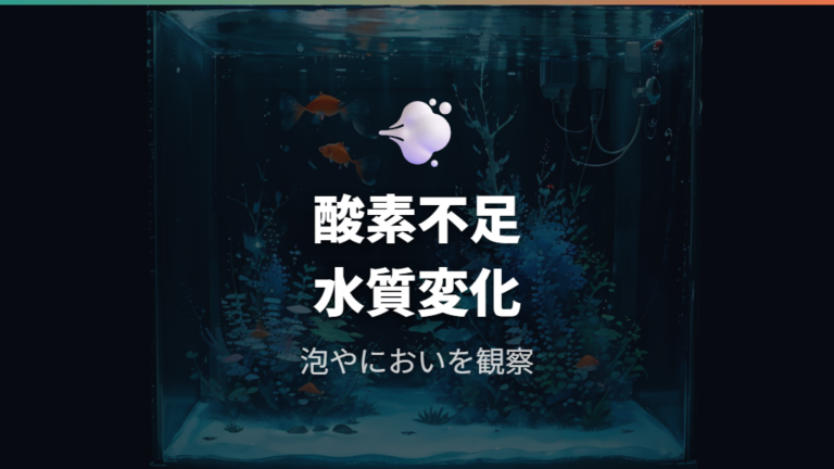 カルキ抜き過剰の金魚への影響は酸素不足と水質変化に注意
