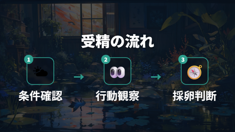 産卵と受精の流れを順番に追う