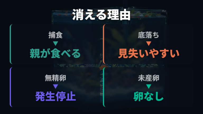 卵がなくなる原因の見分け方は捕食と未産卵を分けて考える