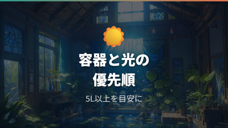 成長が遅いときの見直し点はまず容器と日光から?