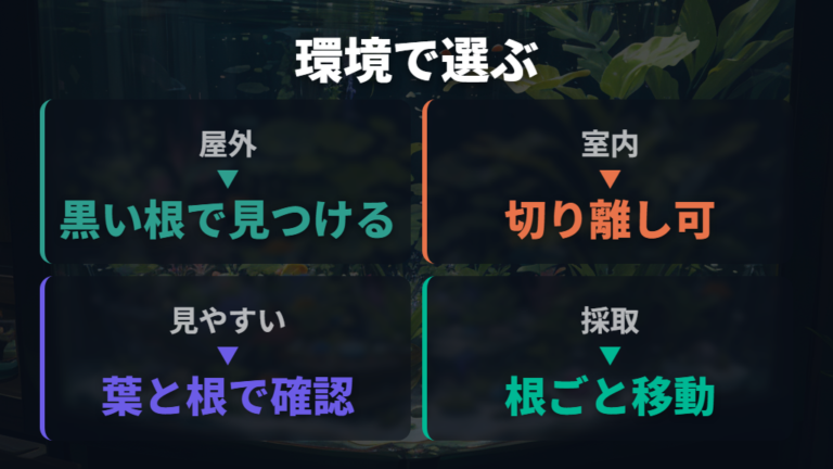 産卵に向く水草の種類を環境別に選ぶ