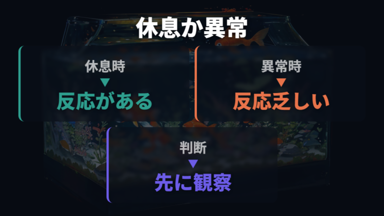 底で横たわる時は異常サインを優先して反応を見る