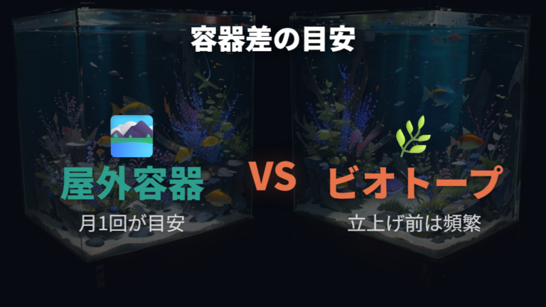 屋外容器とビオトープの水換え目安を比べる