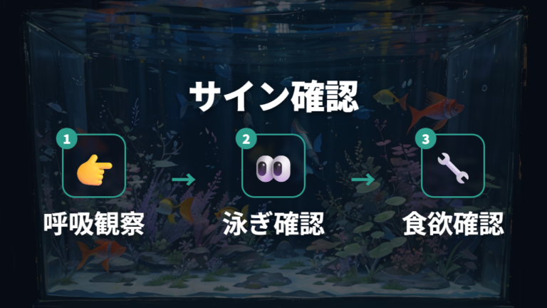 魚が弱る白濁りのサインは呼吸と動きで見る