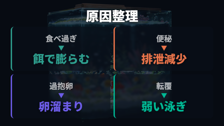 お腹が膨らむ主な原因を食べ過ぎ以外も含めて整理する