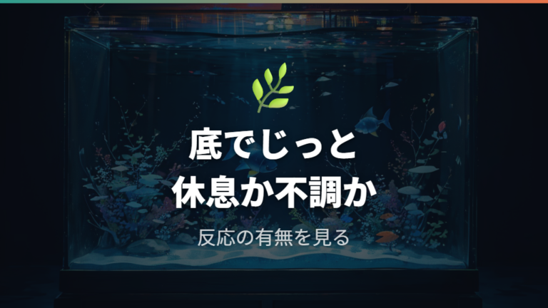 底でじっとする時の注意点は休息と不調の差を見る