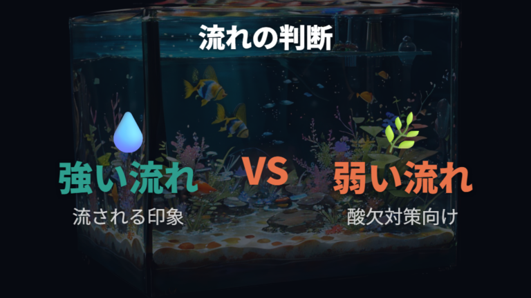 エアレーションとフィルターの要否は水流の強さで判断する