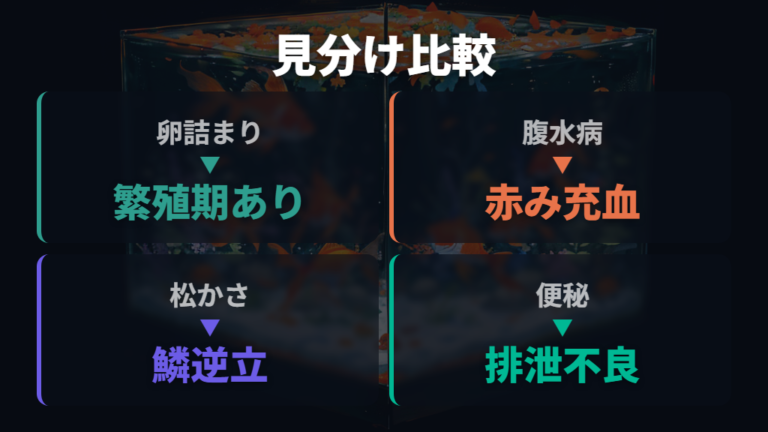 お腹の膨らみで疑う病気を卵詰まり以外も比べる