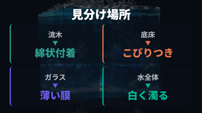 発生場所別の見分け方で候補を絞る