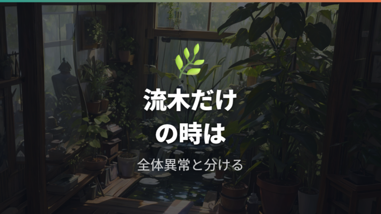 白いカビ状の正体と原因は流木でも変わる