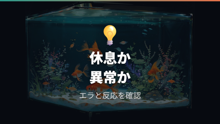 水換えショックの見分け方は休息との違いを見る