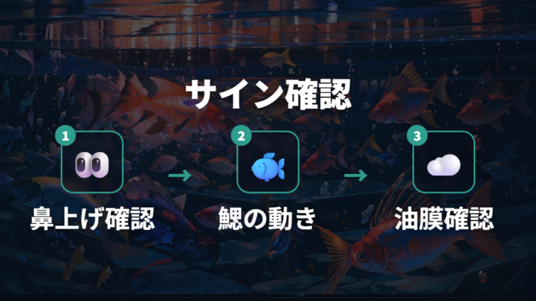 酸素不足のサインと見分け方は鼻上げと鰓の動きが目印