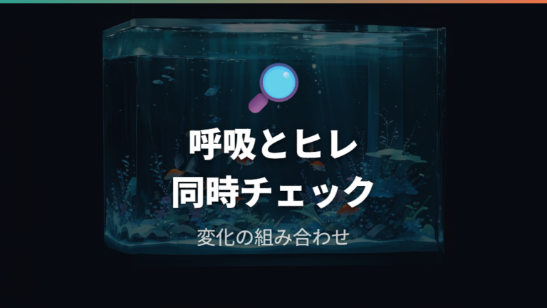 入れすぎで見られる危険なサインは呼吸とヒレを観察する