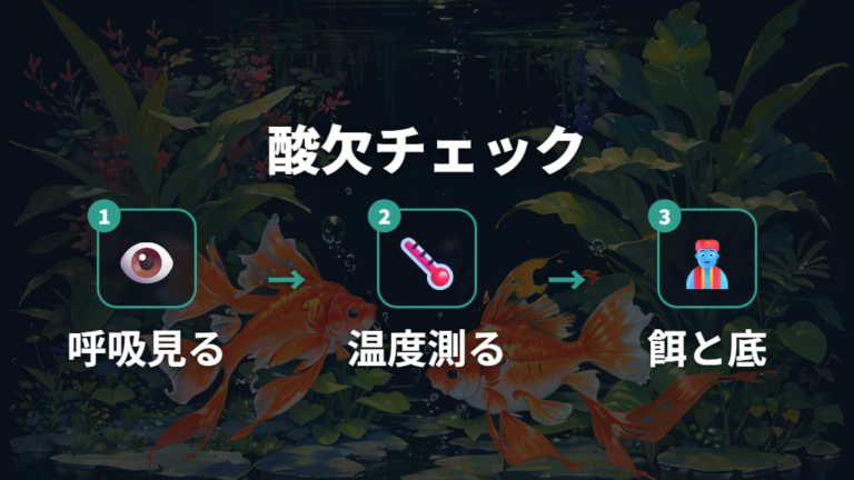夏に起きやすい酸欠の防ぎ方を観察から始める