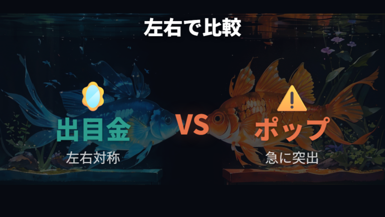 出目金とポップアイの違いは左右対称と急な変化で比べる