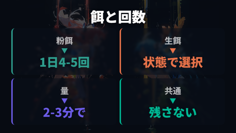 大きく育てる餌と回数を比較して決める