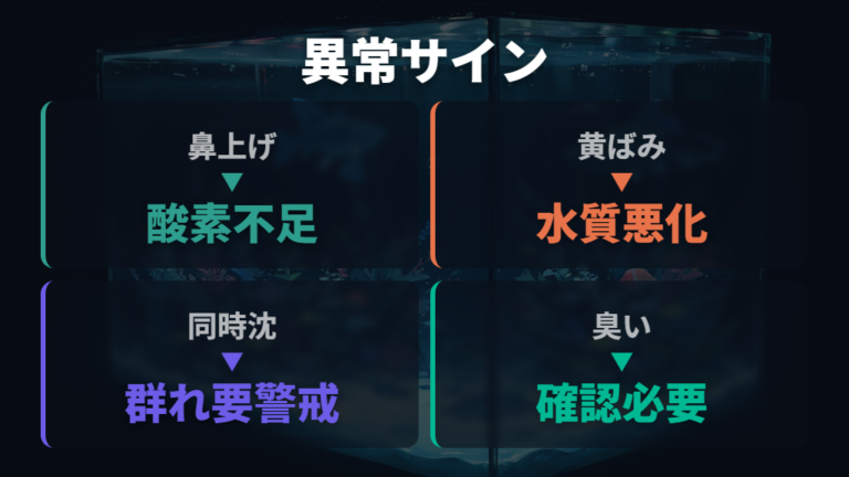 酸欠や水質悪化のサインを先に確認する