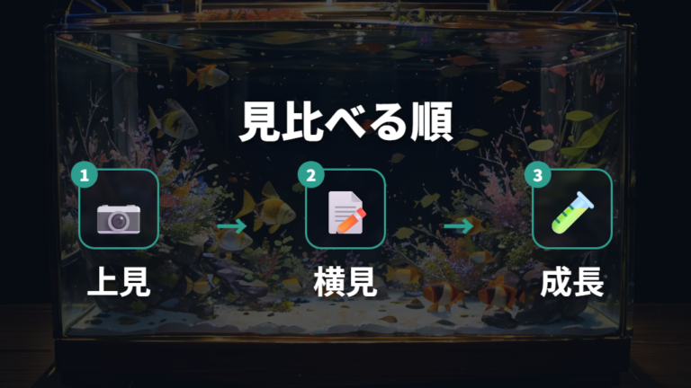 体色が分かる見分け方は上見と横見で確認する