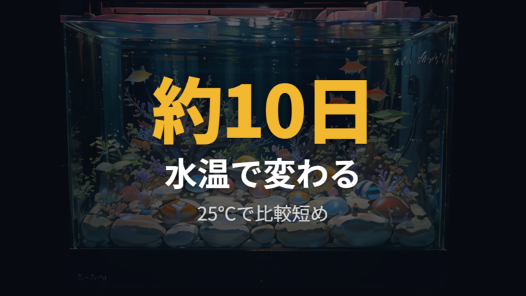 孵化までの日数と水温の目安を積算温度で見る