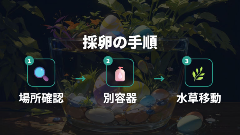 水草から卵を採る方法は水草ごと移すのが基本