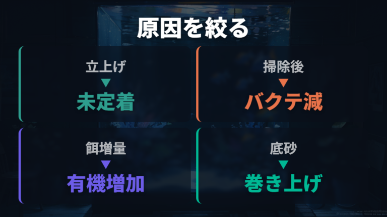 白濁りの主な原因の見分け方は発生タイミングから考える