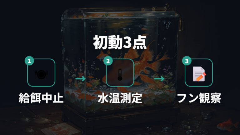 転覆病の治し方と応急処置は最初に餌を止めて観察する