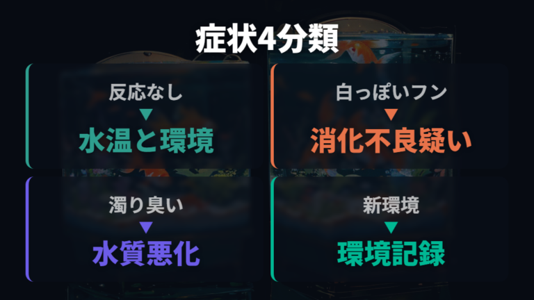 餌を食べない時に見る症状を原因別に整理する
