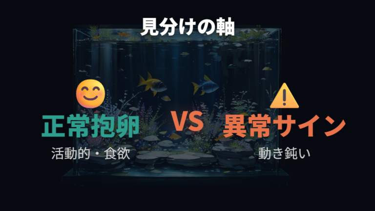 お腹の膨らみと病気の違いを症状別に比べる