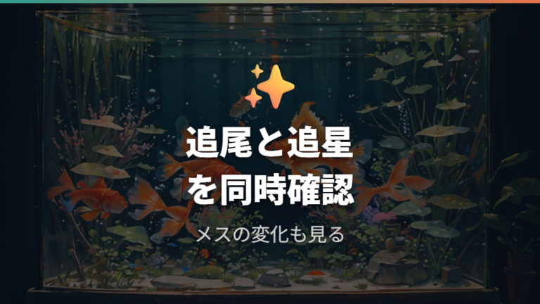 産卵前に見られるサインは追尾と追星を合わせて見る