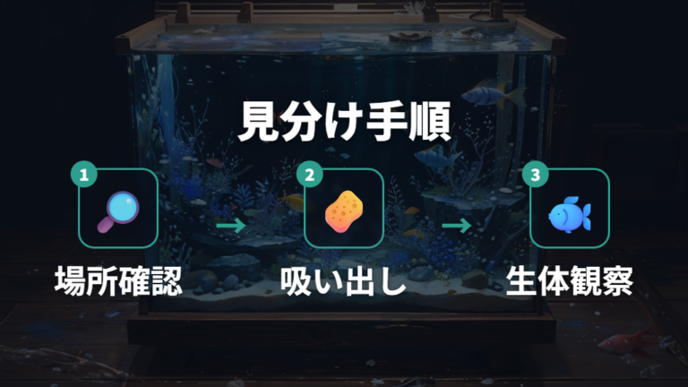 流木に出る白いモヤモヤは水カビか微生物か