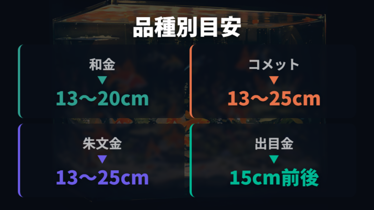 品種別に違う成長後の大きさを比べる