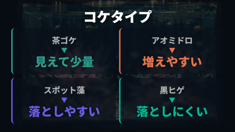 コケの種類と対処の優先度を見分ける