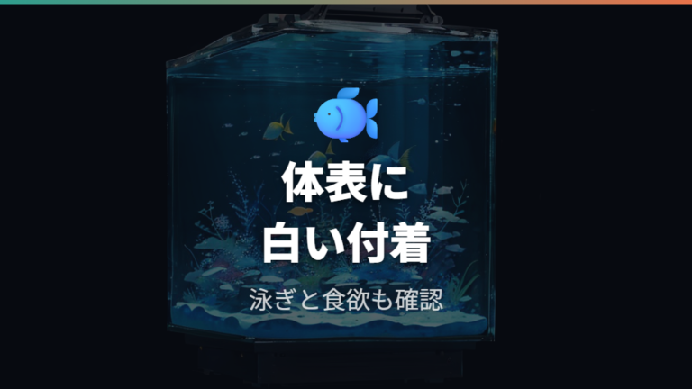 魚やエビへの影響と危険度を分けて判断する