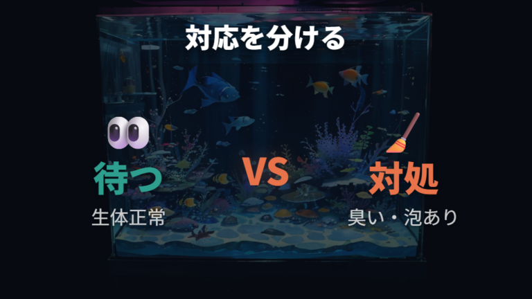 水換えやろ過で対処すべき白濁りのサイン