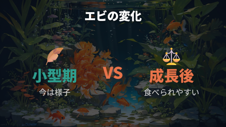 金魚がエビを食べるリスクはサイズと成長で変わる
